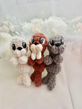 Load image into Gallery viewer, Worry Seal or Walrus