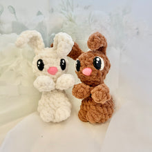 Load image into Gallery viewer, Little Bunny Worry Pet