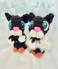 Load image into Gallery viewer, Boot Kitty Worry Pet
