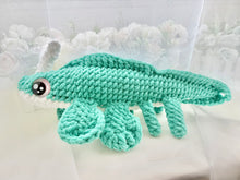 Load image into Gallery viewer, Zen the Xenacanthus