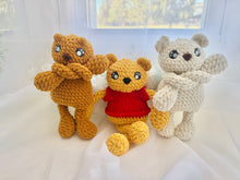 Load image into Gallery viewer, Diana Beary the Pulley Pal Fidget
