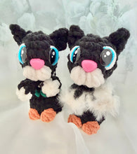Load image into Gallery viewer, Boot Kitty Worry Pet

