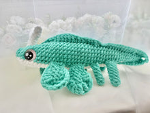 Load image into Gallery viewer, Zen the Xenacanthus
