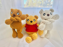 Load image into Gallery viewer, Diana Beary the Pulley Pal Fidget
