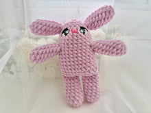 Load image into Gallery viewer, Regina the 8-in-1 Fidget Rabbit
